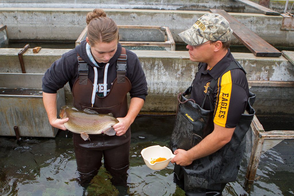 Student and teacher milking fish